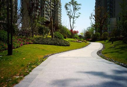 ���������ʹ�Ԣ